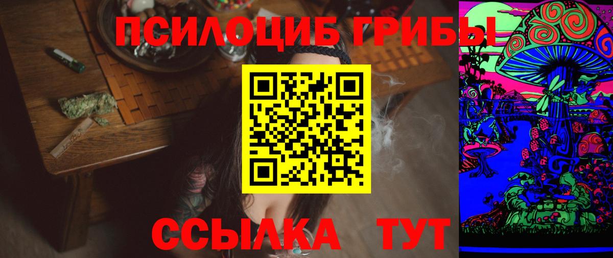 Галлюциногенные грибы Psilocybine cubensis  Вход с VPN  Новоалтайск 