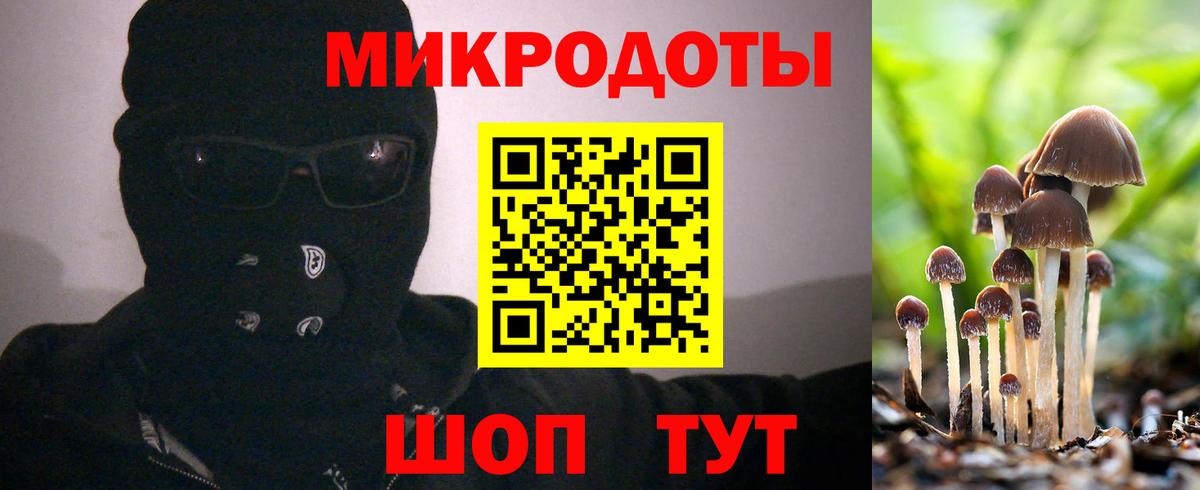 Псилоцибиновые грибы GOLDEN TEACHER Новоалтайск